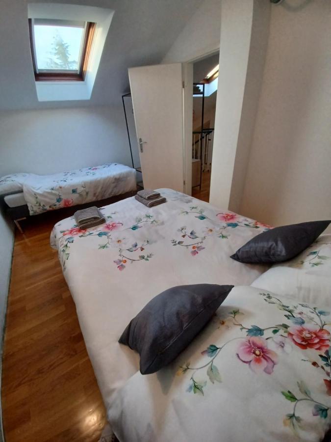 Stunning New Apartment In Centre Of ブゼト エクステリア 写真